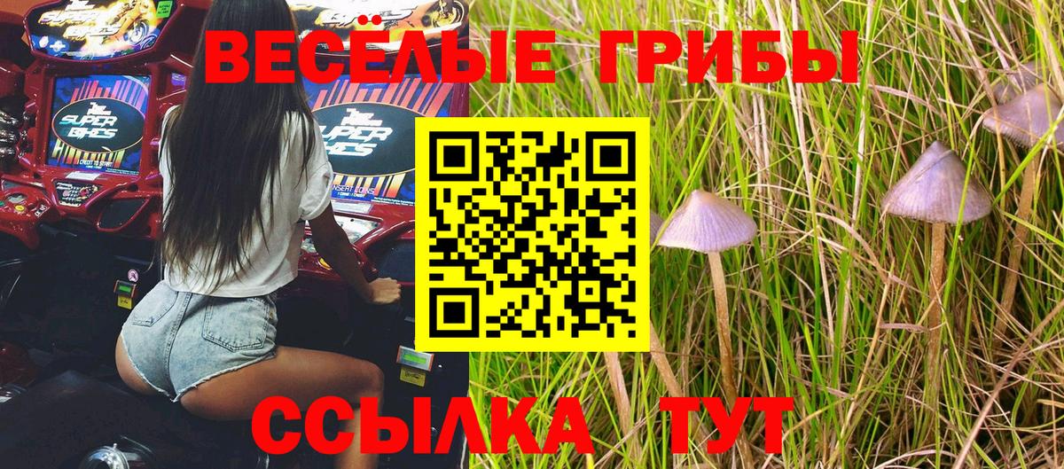 Галлюциногенные грибы прущие грибы  Вход с VPN  Барабинск  Псилоцибиновые грибы Cubensis 